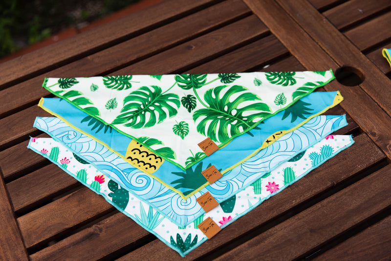 Wily Waves | Fun In The Sun Collection